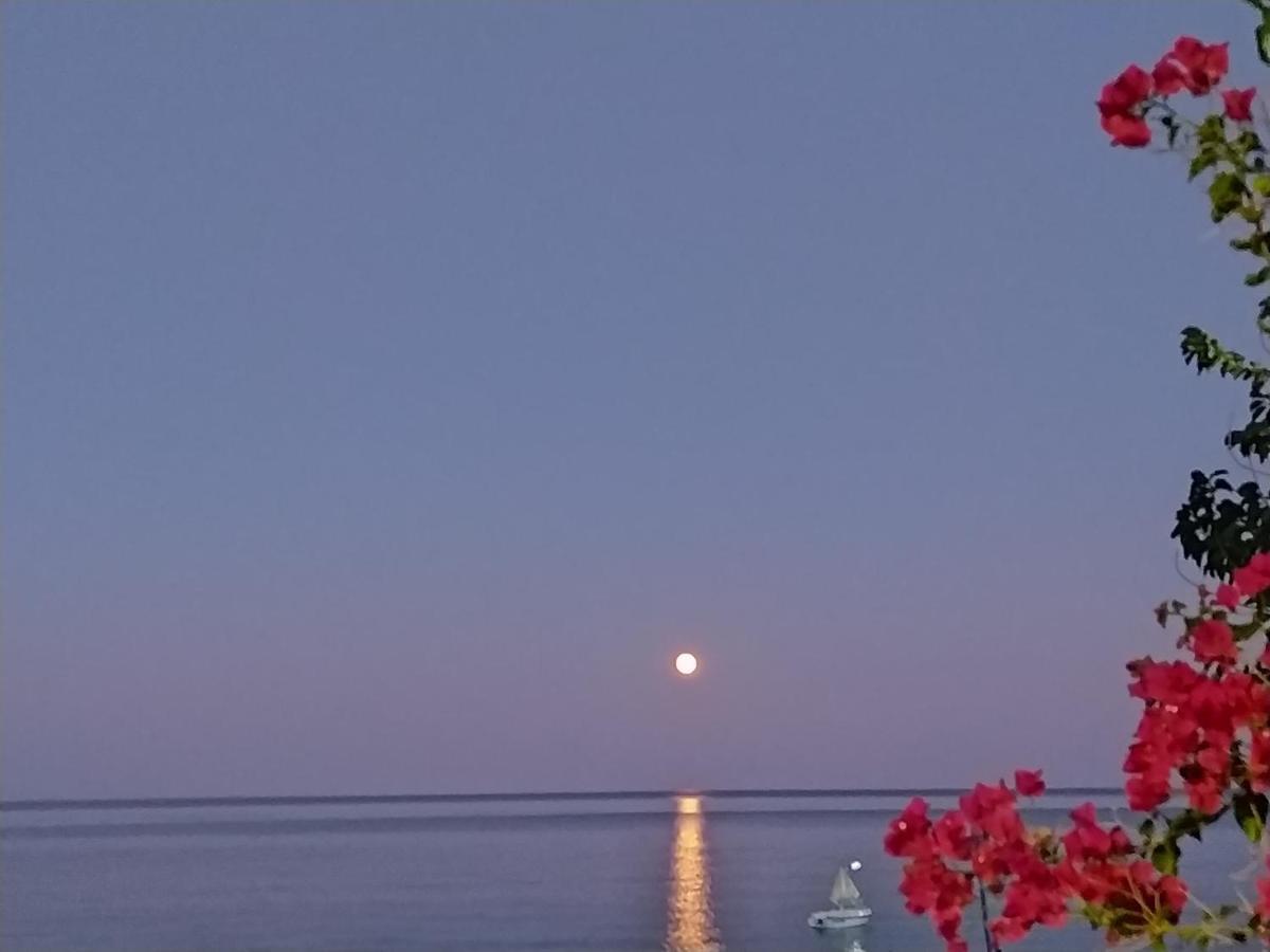Antonios Apartments Stegna Archangelos  Bagian luar foto