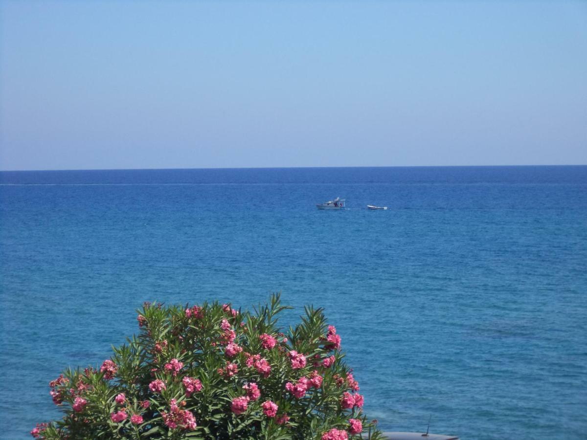Antonios Apartments Stegna Archangelos  Bagian luar foto