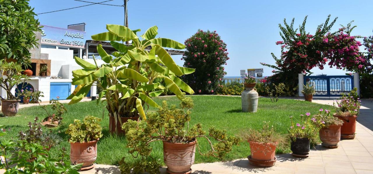 Antonios Apartments Stegna Archangelos  Bagian luar foto